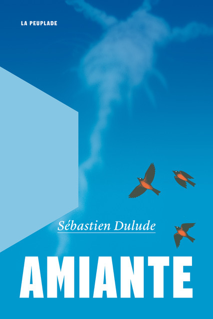 																Sébastien Dulude, Amiante