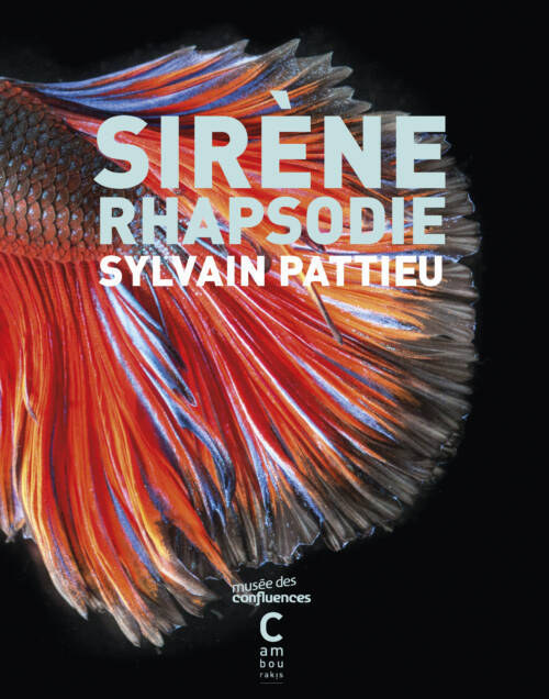 																Sylvain Pattieu, Sirène rhapsodie