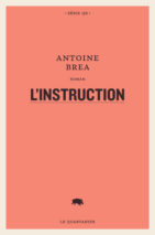 									Antoine Brea, L’instruction