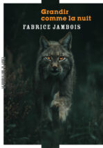 									Fabrice Jambois, Grandir comme la nuit
